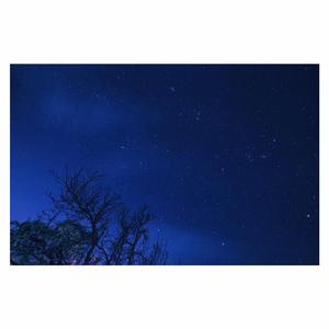 成人中文字幕一区二区三区
